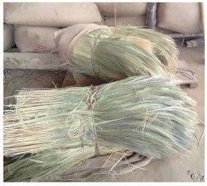 Green Natural Broom Grass