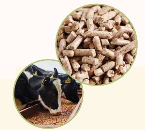 Max-Fi Enriched Mixed Cattle Feed Pellet