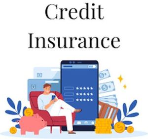 Credit Insurance Services