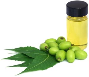 Neem Oil