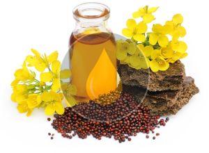 Black Mustard Seeds Oil