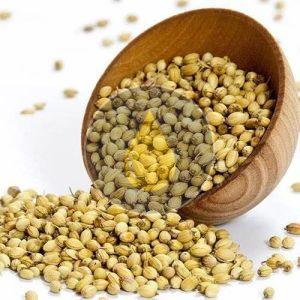 Coriander Seeds