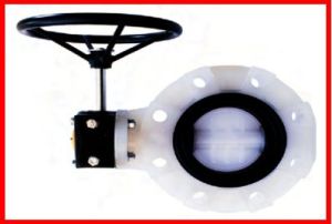 Gear Operated Butterfly Valve