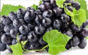 Fresh Black Grapes