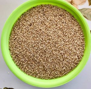 Little Kutki Millet Seeds