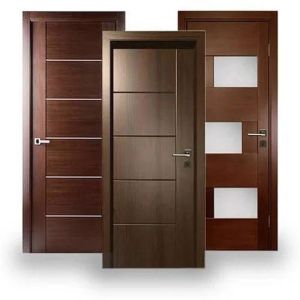 Laminated Flush Door