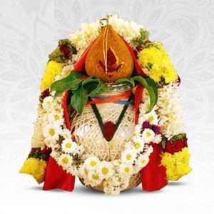 Vastu Shanti Puja Service