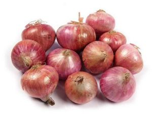 natural red onions