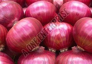 Fresh Big Red Onion