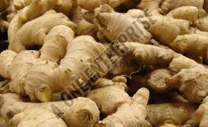 Natural Fresh Ginger