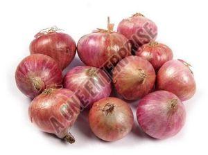 Natural Red Onions