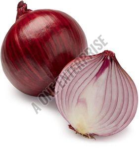 Organic Red Onion