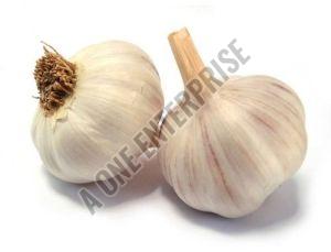 White Fresh Garlic