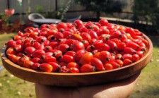 Natural Rose HIPS