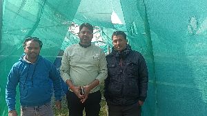Biofloc Fish Farming Service