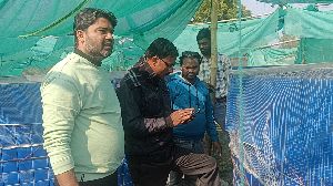 Biofloc Fish Farming Service