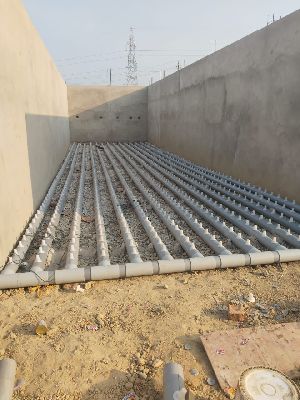 Button Mushroom Farming Service