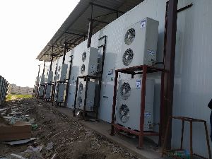 Button Mushroom Farming Service
