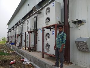 Button Mushroom Farming Service