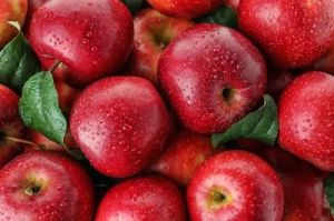 A Grade Red Apple