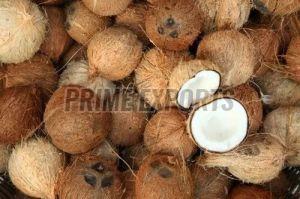 A Grade Coconut