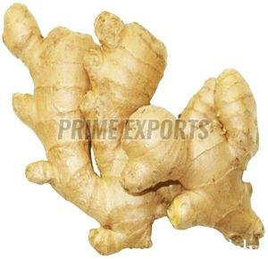 A Grade Ginger