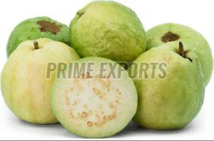 a Grade Green Guava