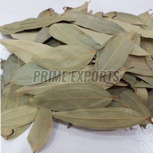 Dried Bay Leaf