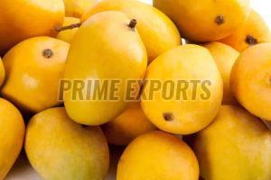Fresh Alphonso Mango