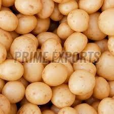 Fresh Baby Potato