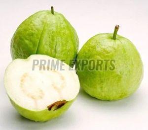 Fresh Green Guava