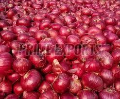 A Grade Red Onion