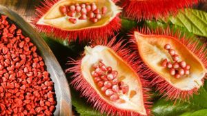 Annatto Seed