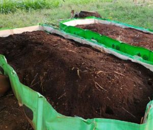 Vermicompost