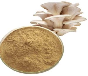 Mushroom Powder