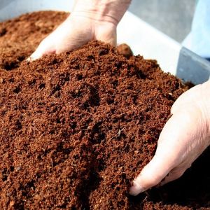 Cocopeat Powder