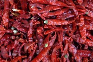 Dry Red Chilli