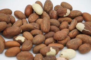 Bitter Kola Nuts