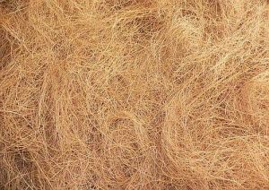 Coconut Fiber