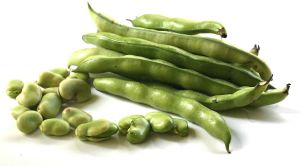 Fresh Broad Beans