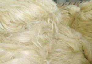 Sisal Fiber