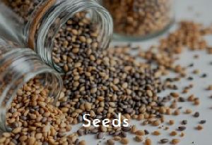 Seeds