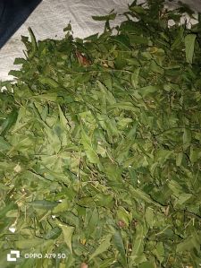 Neem Dry Leaves