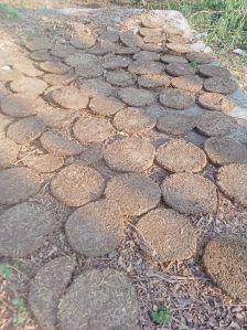 Cow Dung Cake
