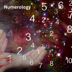 numerologists service