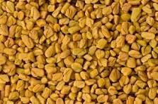 Fenugreek Seed