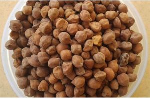 JG-11 Chick Pea Seed