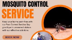 Mosquito Control Services