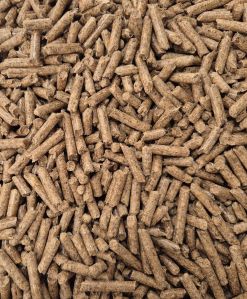 Biomass Pellet