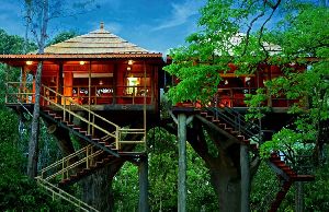 Kerala tour packages- Aspire Holidays